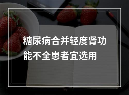 糖尿病合并轻度肾功能不全患者宜选用