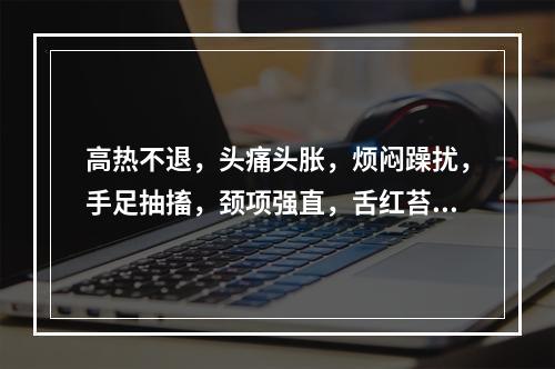 高热不退，头痛头胀，烦闷躁扰，手足抽搐，颈项强直，舌红苔黄，