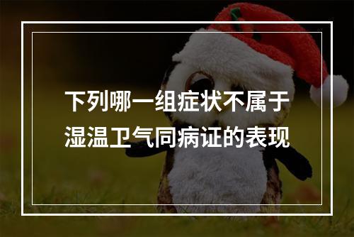 下列哪一组症状不属于湿温卫气同病证的表现