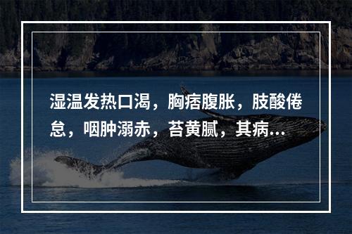 湿温发热口渴，胸痞腹胀，肢酸倦怠，咽肿溺赤，苔黄腻，其病机为