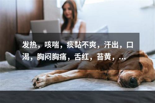 发热，咳喘，痰黏不爽，汗出，口渴，胸闷胸痛，舌红，苔黄，脉数