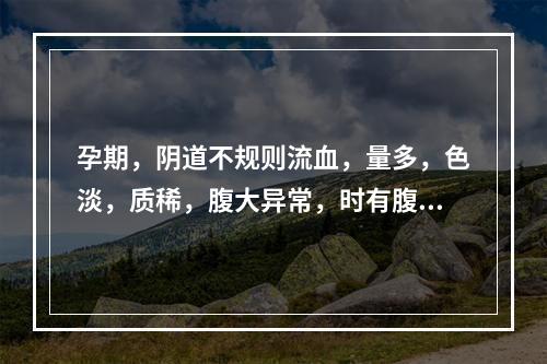 孕期，阴道不规则流血，量多，色淡，质稀，腹大异常，时有腹部隐