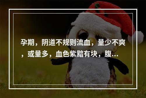 孕期，阴道不规则流血，量少不爽，或量多，血色紫黯有块，腹大异