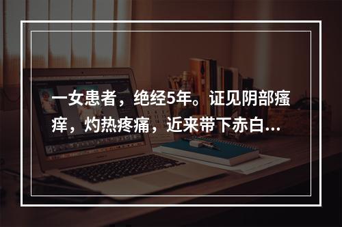 一女患者，绝经5年。证见阴部瘙痒，灼热疼痛，近来带下赤白，有