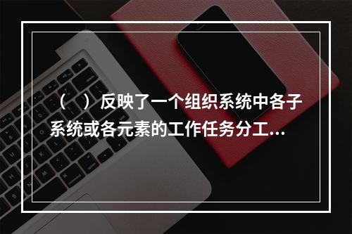 （　）反映了一个组织系统中各子系统或各元素的工作任务分工和管