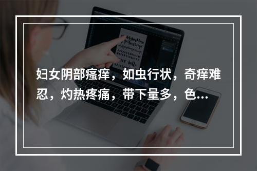 妇女阴部瘙痒，如虫行状，奇痒难忍，灼热疼痛，带下量多，色黄呈