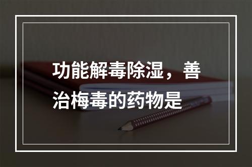 功能解毒除湿，善治梅毒的药物是