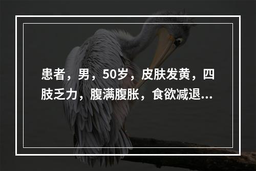 患者，男，50岁，皮肤发黄，四肢乏力，腹满腹胀，食欲减退，大