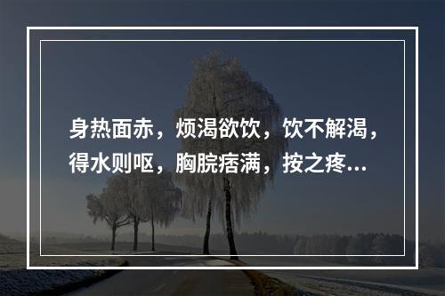 身热面赤，烦渴欲饮，饮不解渴，得水则呕，胸脘痞满，按之疼痛，