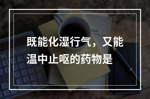 既能化湿行气，又能温中止呕的药物是