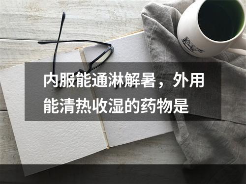 内服能通淋解暑，外用能清热收湿的药物是