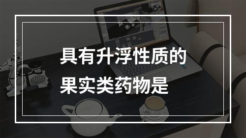 具有升浮性质的果实类药物是