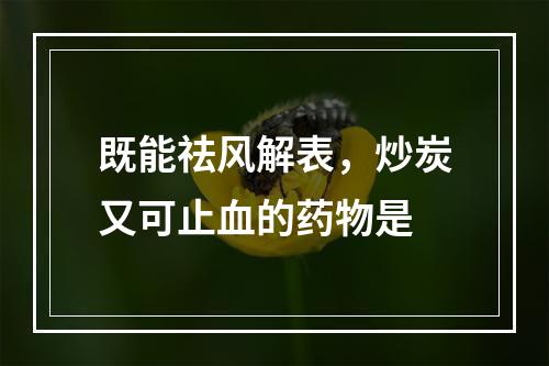 既能祛风解表，炒炭又可止血的药物是