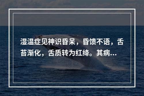 湿温症见神识昏呆，昏馈不语，舌苔渐化，舌质转为红绛。其病机为