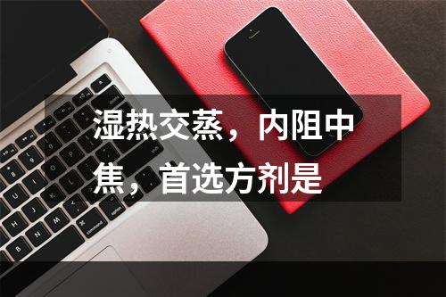 湿热交蒸，内阻中焦，首选方剂是