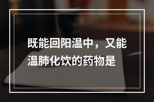 既能回阳温中，又能温肺化饮的药物是