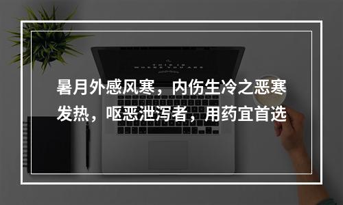 暑月外感风寒，内伤生冷之恶寒发热，呕恶泄泻者，用药宜首选