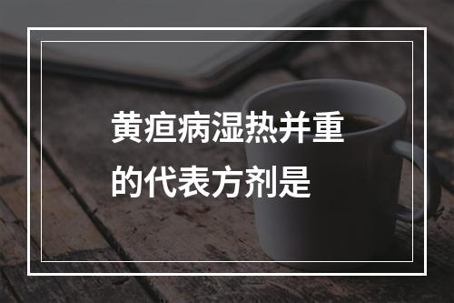 黄疸病湿热并重的代表方剂是