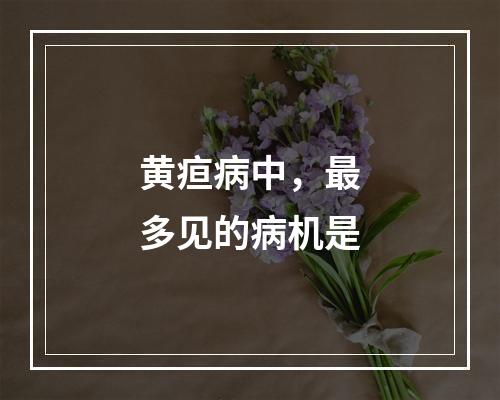 黄疸病中，最多见的病机是