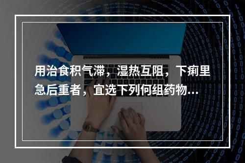 用治食积气滞，湿热互阻，下痢里急后重者，宜选下列何组药物最佳