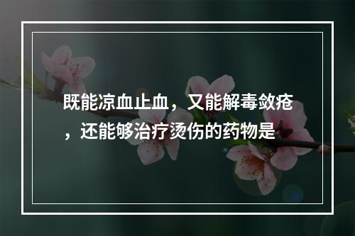 既能凉血止血，又能解毒敛疮，还能够治疗烫伤的药物是