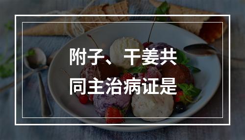 附子、干姜共同主治病证是