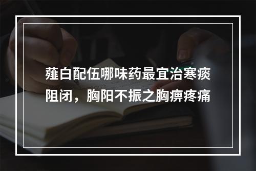 薤白配伍哪味药最宜治寒痰阻闭，胸阳不振之胸痹疼痛