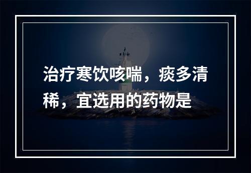 治疗寒饮咳喘，痰多清稀，宜选用的药物是