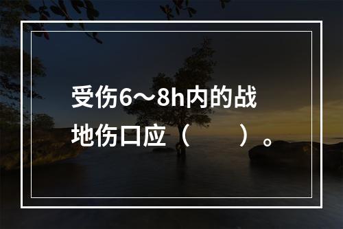 受伤6～8h内的战地伤口应（　　）。