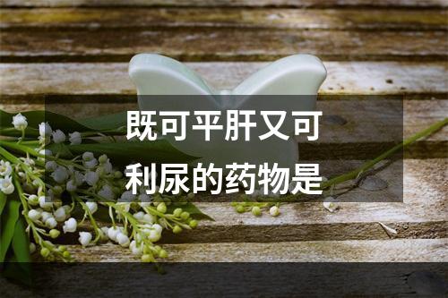 既可平肝又可利尿的药物是