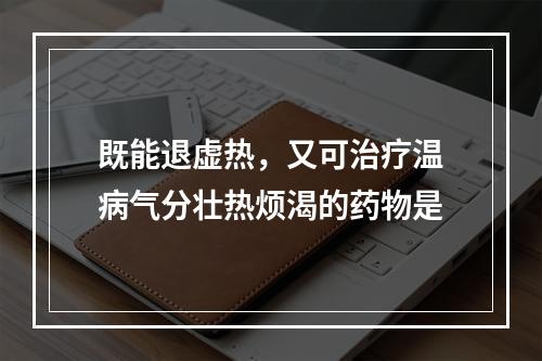 既能退虚热，又可治疗温病气分壮热烦渴的药物是