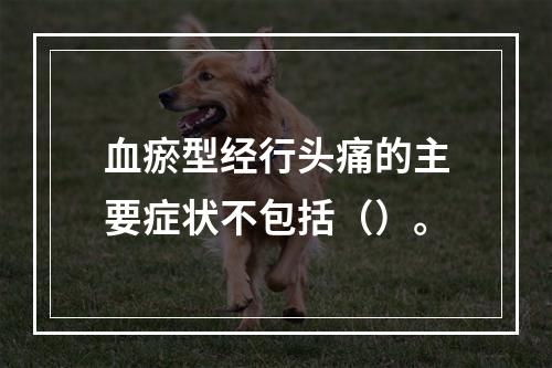 血瘀型经行头痛的主要症状不包括（）。