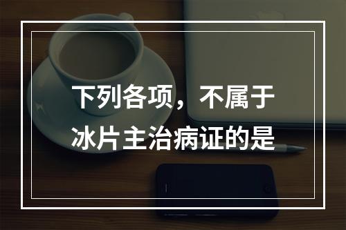 下列各项，不属于冰片主治病证的是