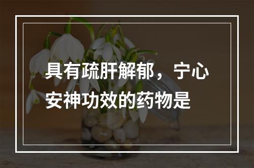 具有疏肝解郁，宁心安神功效的药物是