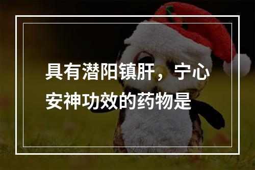 具有潜阳镇肝，宁心安神功效的药物是