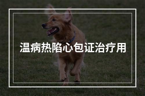 温病热陷心包证治疗用