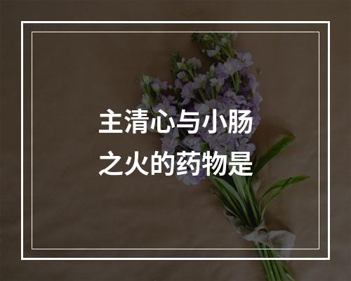 主清心与小肠之火的药物是