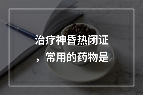 治疗神昏热闭证，常用的药物是