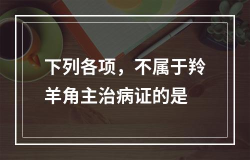 下列各项，不属于羚羊角主治病证的是