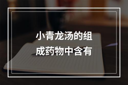 小青龙汤的组成药物中含有