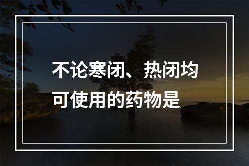 不论寒闭、热闭均可使用的药物是