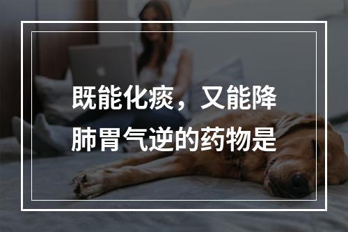 既能化痰，又能降肺胃气逆的药物是