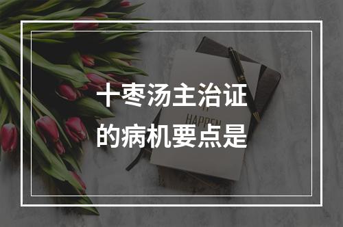 十枣汤主治证的病机要点是