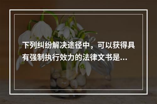 下列纠纷解决途径中，可以获得具有强制执行效力的法律文书是(