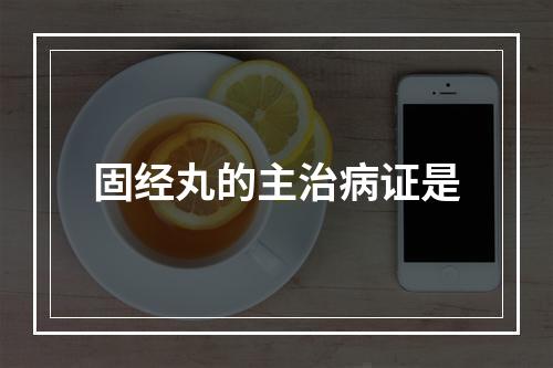 固经丸的主治病证是