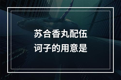 苏合香丸配伍诃子的用意是