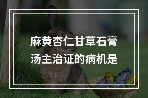 麻黄杏仁甘草石膏汤主治证的病机是