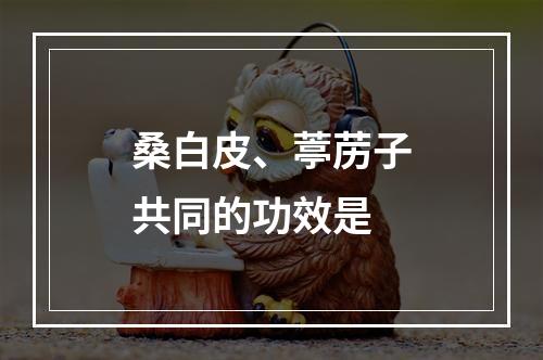 桑白皮、葶苈子共同的功效是