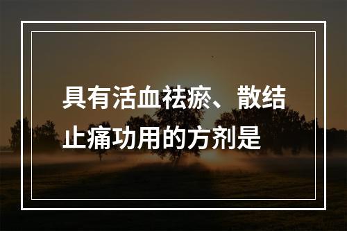 具有活血祛瘀、散结止痛功用的方剂是