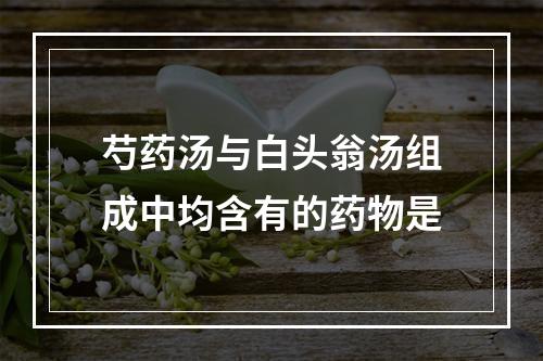 芍药汤与白头翁汤组成中均含有的药物是